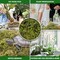 Dried Moss for Potted Plants, Forest Orchid Moss for Potting Mix, Sphagnum Potting Moss for Plants Indoor, Real Moss Soil Cover for Houseplant